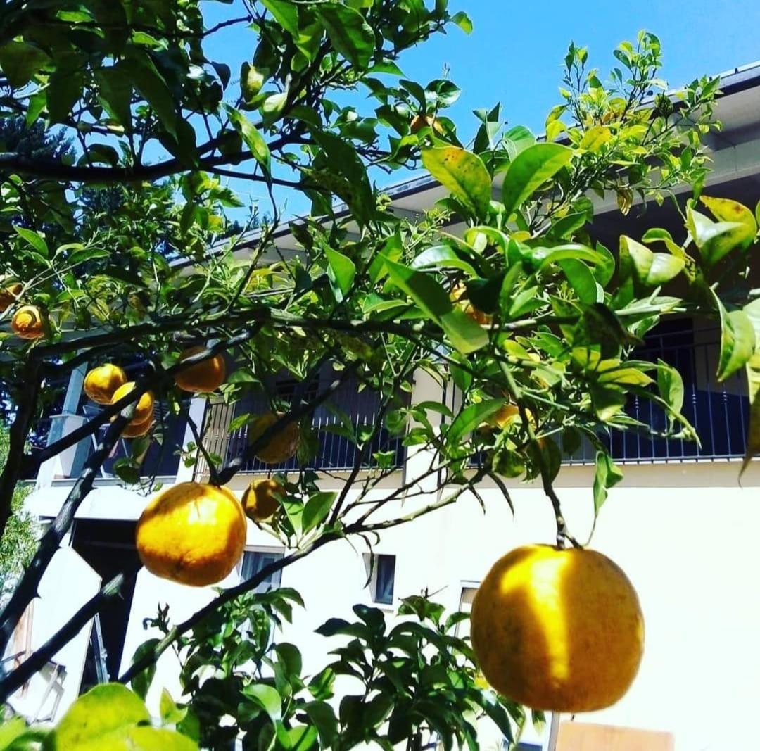 B&B Verdeoliva モドゥーニョ エクステリア 写真